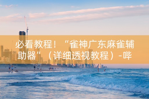 必看教程！“雀神广东麻雀辅助器”（详细透视教程）-哔哩哔哩
