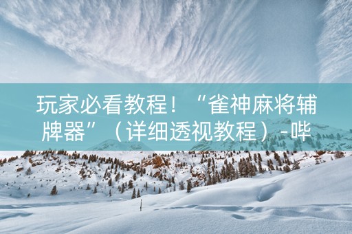 玩家必看教程！“雀神麻将辅牌器”（详细透视教程）-哔哩哔哩