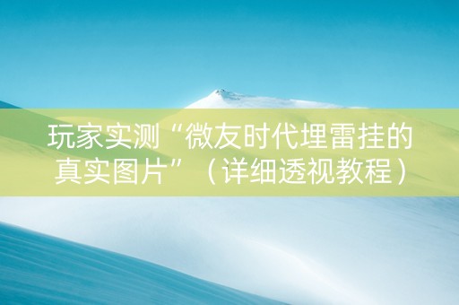 玩家实测“微友时代埋雷挂的真实图片”（详细透视教程）-哔哩哔哩