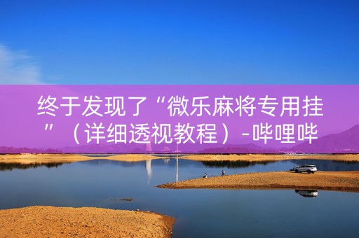 终于发现了“微乐麻将专用挂”（详细透视教程）-哔哩哔哩