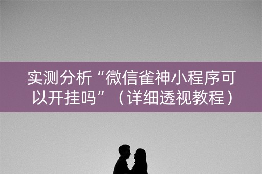 实测分析“微信雀神小程序可以开挂吗”（详细透视教程）-哔哩哔哩