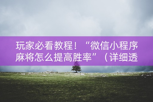 玩家必看教程！“微信小程序麻将怎么提高胜率”（详细透视教程）-哔哩哔哩