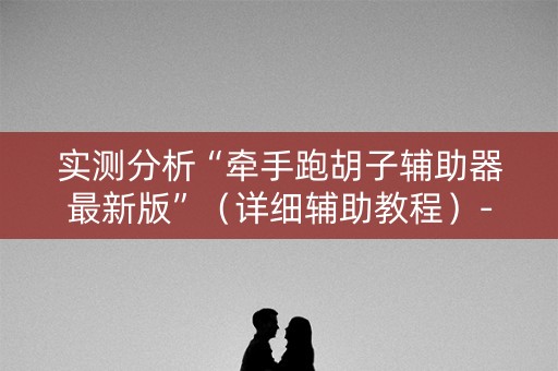 实测分析“牵手跑胡子辅助器最新版”（详细辅助教程）-哔哩哔哩