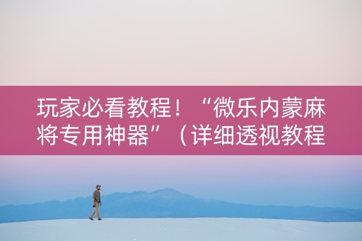 玩家必看教程！“微乐内蒙麻将专用神器”（详细透视教程）-哔哩哔哩