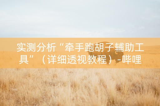 实测分析“牵手跑胡子辅助工具”（详细透视教程）-哔哩哔哩