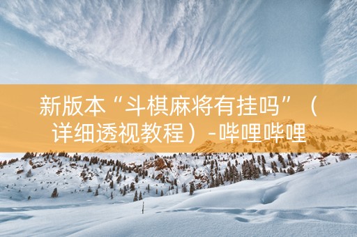 新版本“斗棋麻将有挂吗”（详细透视教程）-哔哩哔哩