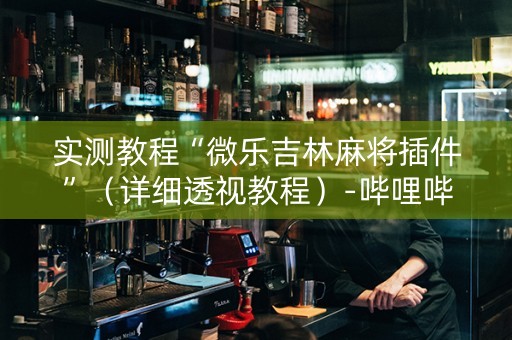 实测教程“微乐吉林麻将插件”（详细透视教程）-哔哩哔哩