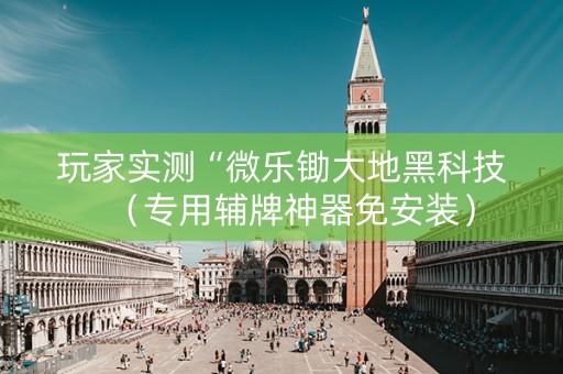 玩家实测“微乐锄大地黑科技（专用辅牌神器免安装）