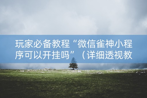 玩家必备教程“微信雀神小程序可以开挂吗”（详细透视教程）-哔哩哔哩