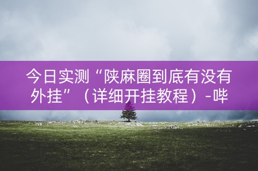 今日实测“陕麻圈到底有没有外挂”（详细开挂教程）-哔哩哔哩