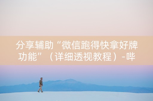 分享辅助“微信跑得快拿好牌功能”（详细透视教程）-哔哩哔哩