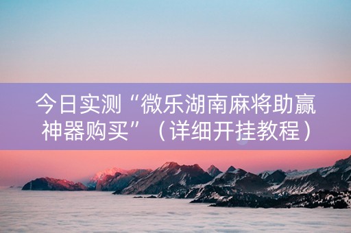 今日实测“微乐湖南麻将助赢神器购买”（详细开挂教程）-哔哩哔哩