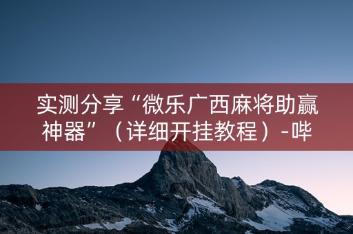 实测分享“微乐广西麻将助赢神器”（详细开挂教程）-哔哩哔哩