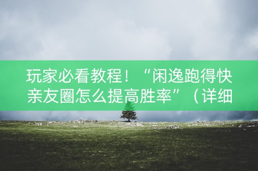 玩家必看教程！“闲逸跑得快亲友圈怎么提高胜率”（详细开挂教程）-哔哩哔哩