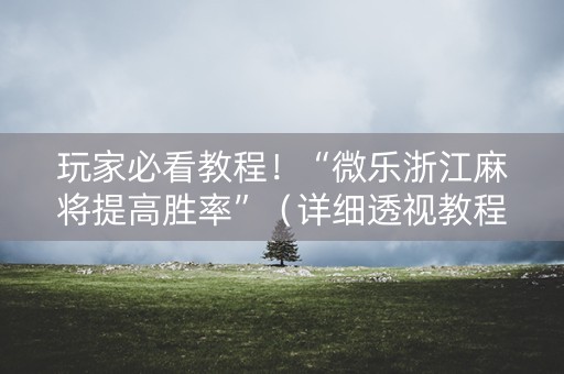 玩家必看教程！“微乐浙江麻将提高胜率”（详细透视教程）-哔哩哔哩