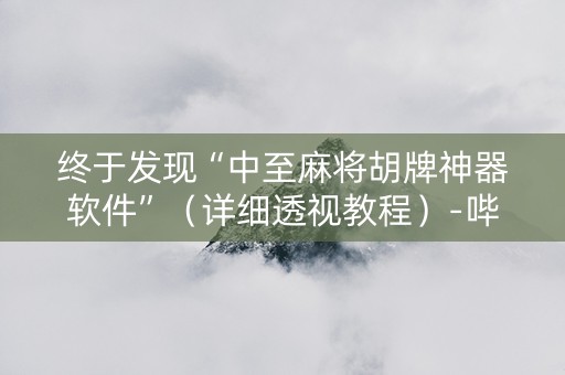 终于发现“中至麻将胡牌神器软件”（详细透视教程）-哔哩哔哩