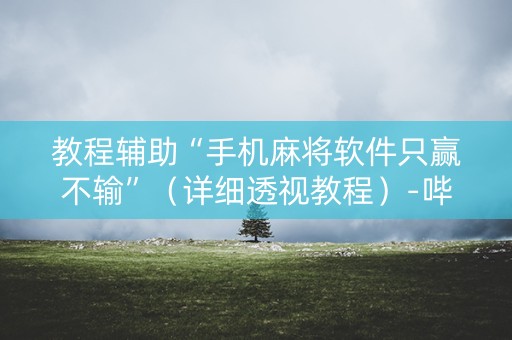教程辅助“手机麻将软件只赢不输”（详细透视教程）-哔哩哔哩