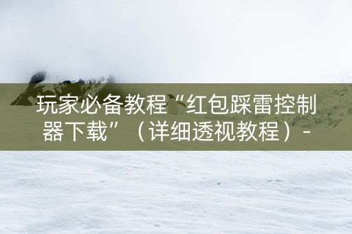 玩家必备教程“红包踩雷控制器下载”（详细透视教程）-哔哩哔哩