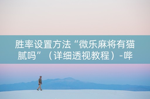 胜率设置方法“微乐麻将有猫腻吗”（详细透视教程）-哔哩哔哩