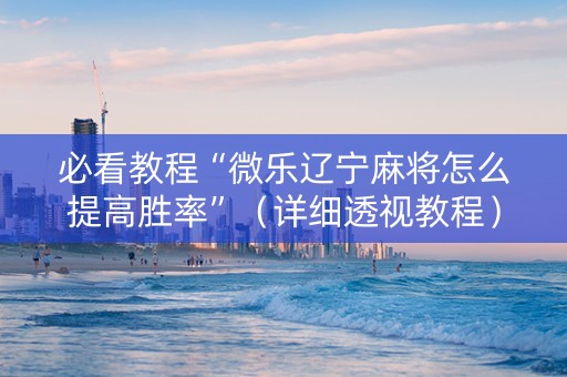 必看教程“微乐辽宁麻将怎么提高胜率”（详细透视教程）-哔哩哔哩