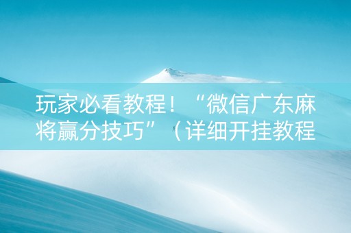 玩家必看教程！“微信广东麻将赢分技巧”（详细开挂教程）-哔哩哔哩