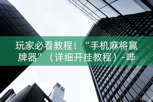 玩家必看教程！“手机麻将赢牌器”（详细开挂教程）-哔哩哔哩
