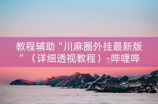 教程辅助“川麻圈外挂最新版”（详细透视教程）-哔哩哔哩