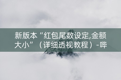 新版本“红包尾数设定,金额大小”（详细透视教程）-哔哩哔哩