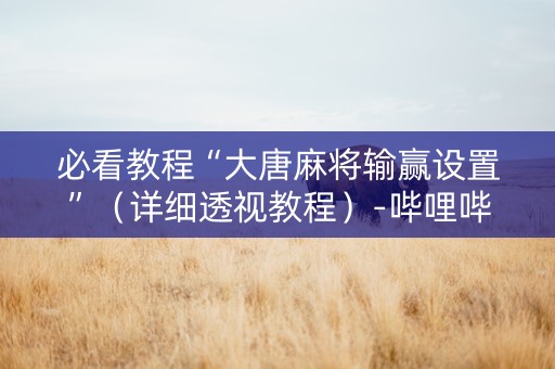 必看教程“大唐麻将输赢设置”（详细透视教程）-哔哩哔哩