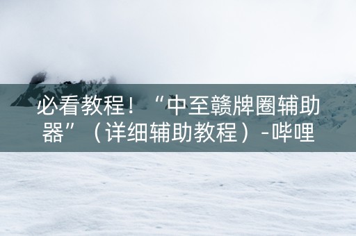 必看教程！“中至赣牌圈辅助器”（详细辅助教程）-哔哩哔哩