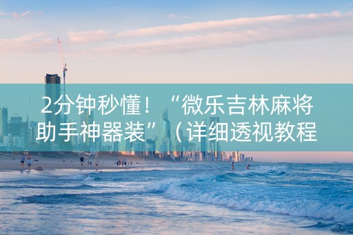 2分钟秒懂！“微乐吉林麻将助手神器装”（详细透视教程）-哔哩哔哩