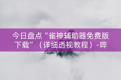 今日盘点“雀神辅助器免费版下载”（详细透视教程）-哔哩哔哩
