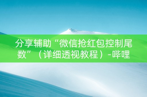 分享辅助“微信抢红包控制尾数”（详细透视教程）-哔哩哔哩