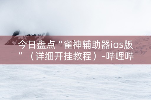 今日盘点“雀神辅助器ios版”（详细开挂教程）-哔哩哔哩