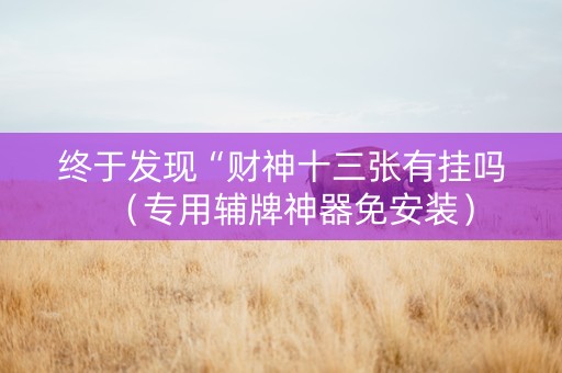 终于发现“财神十三张有挂吗（专用辅牌神器免安装）