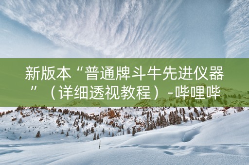 新版本“普通牌斗牛先进仪器”（详细透视教程）-哔哩哔哩