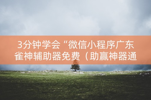 3分钟学会“微信小程序广东雀神辅助器免费（助赢神器通用版）