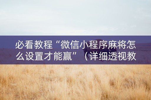 必看教程“微信小程序麻将怎么设置才能赢”（详细透视教程）-哔哩哔哩