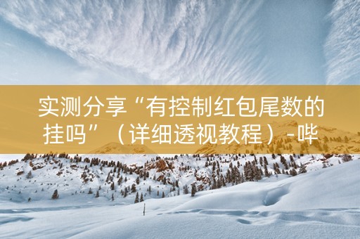 实测分享“有控制红包尾数的挂吗”（详细透视教程）-哔哩哔哩