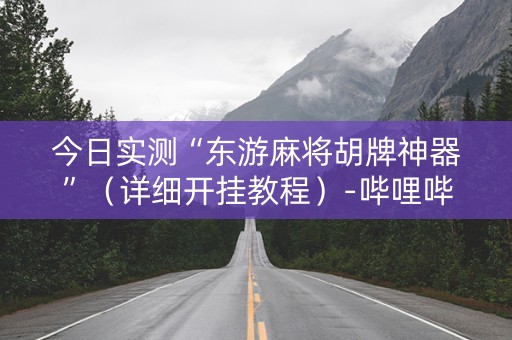 今日实测“东游麻将胡牌神器”（详细开挂教程）-哔哩哔哩