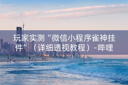 玩家实测“微信小程序雀神挂件”（详细透视教程）-哔哩哔哩