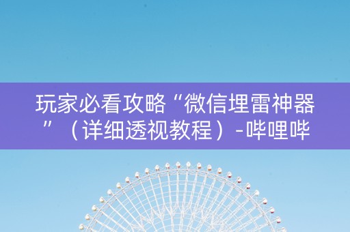 玩家必看攻略“微信埋雷神器”（详细透视教程）-哔哩哔哩