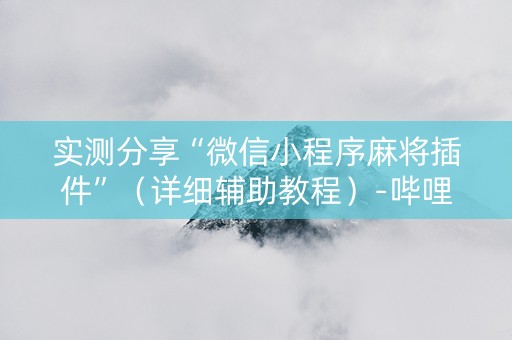 实测分享“微信小程序麻将插件”（详细辅助教程）-哔哩哔哩