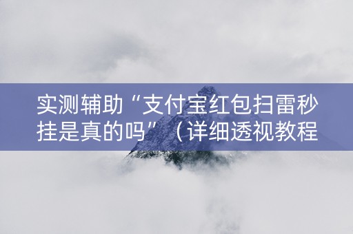 实测辅助“支付宝红包扫雷秒挂是真的吗”（详细透视教程）-哔哩哔哩