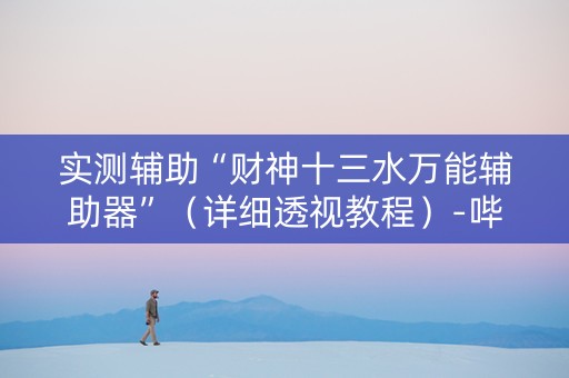 实测辅助“财神十三水万能辅助器”（详细透视教程）-哔哩哔哩