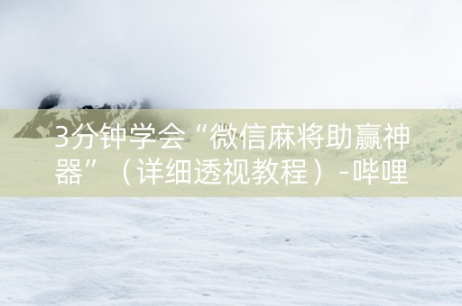 3分钟学会“微信麻将助赢神器”（详细透视教程）-哔哩哔哩