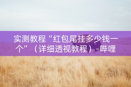 实测教程“红包尾挂多少钱一个”（详细透视教程）-哔哩哔哩