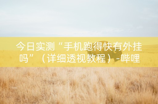 今日实测“手机跑得快有外挂吗”（详细透视教程）-哔哩哔哩