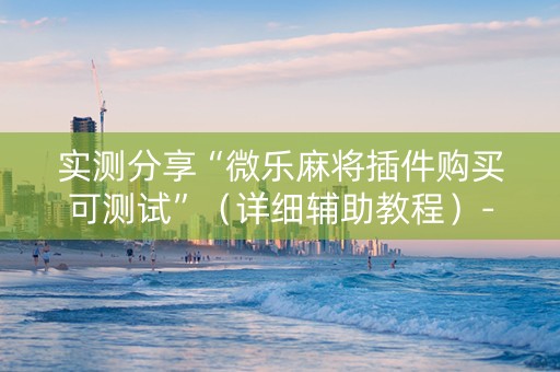 实测分享“微乐麻将插件购买可测试”（详细辅助教程）-哔哩哔哩