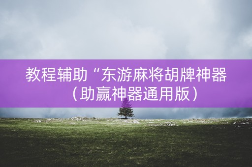 教程辅助“东游麻将胡牌神器（助赢神器通用版）